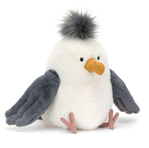 Chip Seagull
